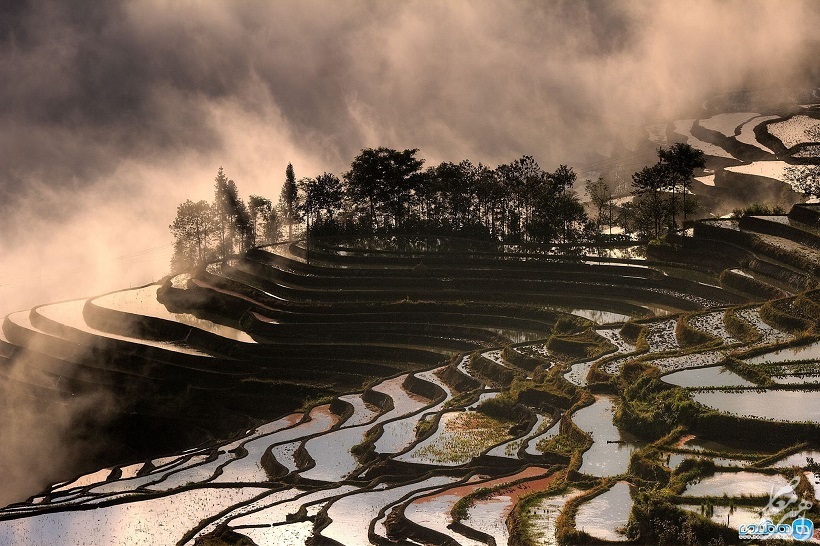 عکس منتخب نشنال جئوگرافیک از مزارع پلکانی برنج