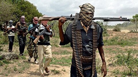 افراد مسلح در نیجریه ۶۱ تن را ربودند