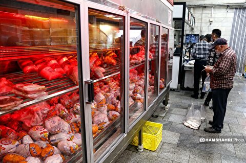وضعیت بازار مرغ + قیمت گوشت در میادین