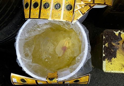 تصاویر کشف 6 تن عسل تقلبی در بازار
