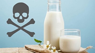 پشت پرده «شیرهای سمی» چیست؟