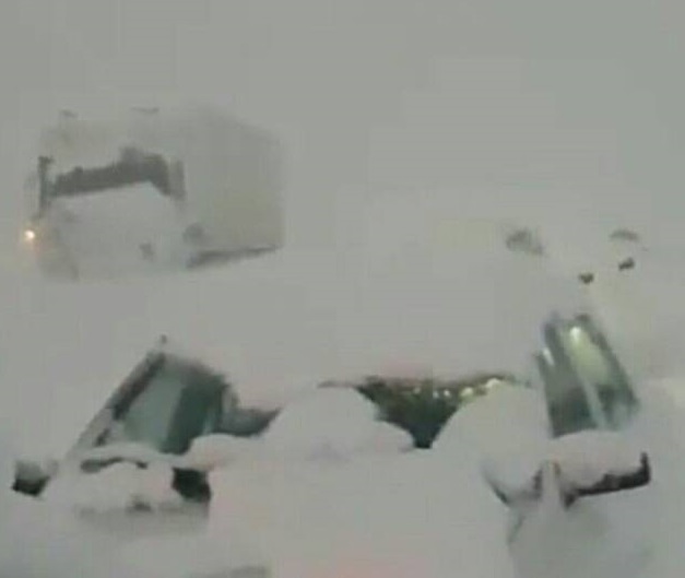 لاهیجان و خلخال در برف مدفون شدند!+ عکس و فیلم