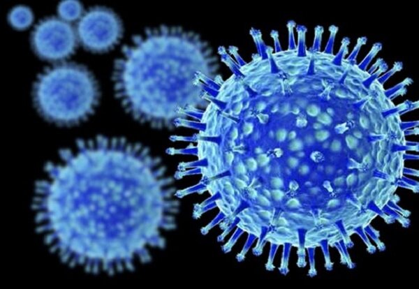 مرگ چهار نفر در فارس بر اثر ابتلا به آنفلوآنزا