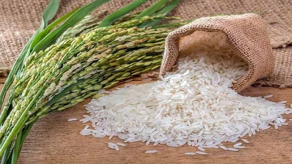 برنج در آستانه ورود به بورس کالا