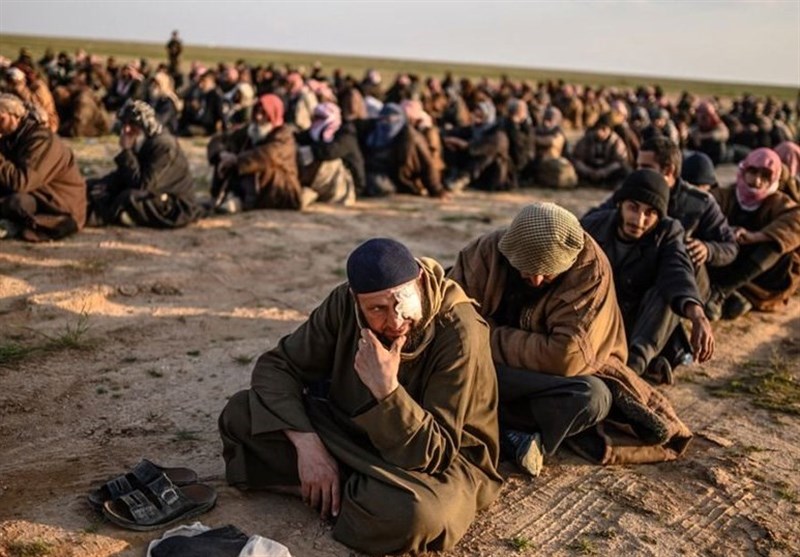 دلایل افزایش تحرکات داعش در سوریه چیست؟