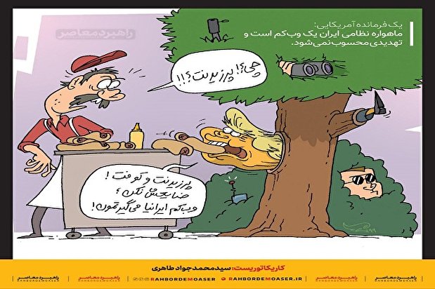 کاریکاتور | وحشت از وبکم ایرانی!