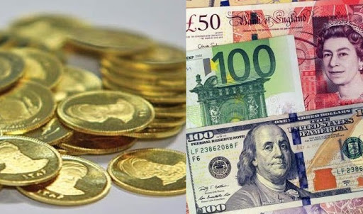 بانک مرکزی اراده مدیریت ارز و سکه را از دست داده است
