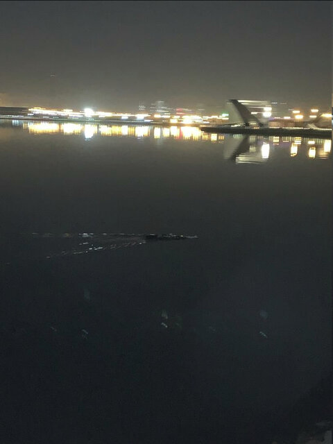 ماجرای تمساح در دریاچه چیتگر چیست؟+ عکس