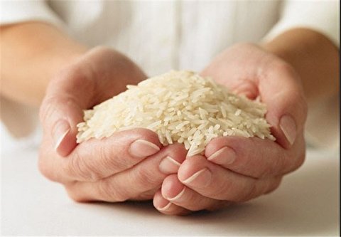 قیمت جدید و مصوب انواع برنج داخلی و خارجی + جدول