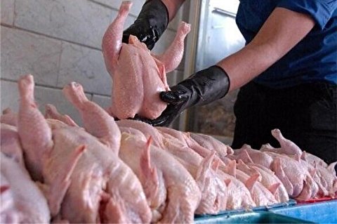 آیا واسطه ها از بازار مرغ حذف میشوند؟
