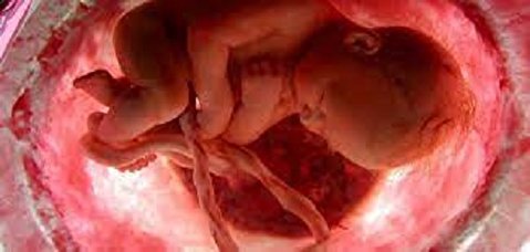 چند نکته مهم در مورد حرکت جنین در دوران بارداری