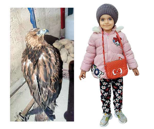 شکار دختر ۳ ساله به جای خرگوش در کرمانشاه + عکس