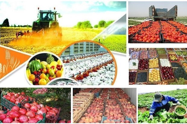 امنیت غذایی پایدار در گرو خودکفایی در محصولات کشاورزی