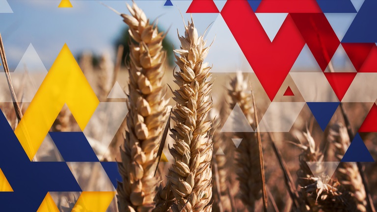زنگ خطر بحران غذایی در سایه جنگ اوکراین