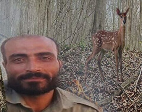واکنش محیط زیست به قتل محیط‌بان برومند نجفی در کرمانشاه