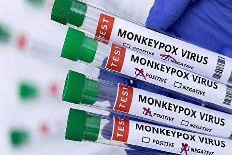 وزارت بهداشت:فعلا نیازی به واکسیناسیون آبله میمون نیست