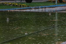 هشدار هواشناسی/خطر سیلابی شدن رودخانه‌های فصلی