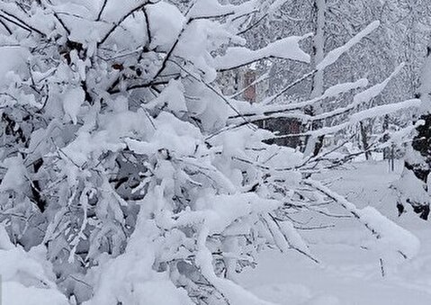 تداوم بارش‌ها در تهران/ یخبندان و کاهش دما