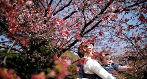 رکورد تاریخی در کاهش فرزندآوری و عدم تمایل به ازدواج در ژاپن