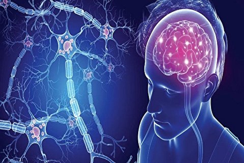 تشخیص زودهنگام بیماری ام‌اس را تا 50 درصد مهار می‌کند