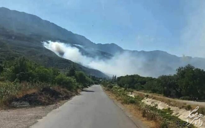 آتش‌سوزی گسترده در جنگل‌های سوریه + تصاویر
