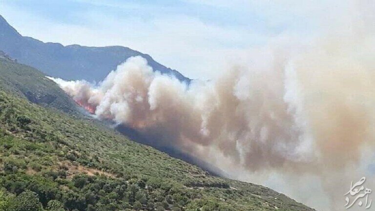 آتش‌سوزی گسترده در جنگل‌های سوریه + تصاویر