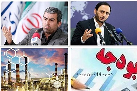 واکنش سخنگوی دولت به اظهارات پورابراهیمی درباره نرخ گاز خوراک صنایع