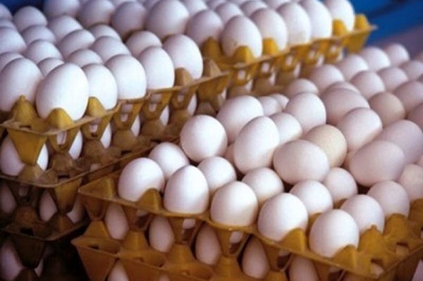 علت اصلی عرضه تخم مرغ کمتر از نرخ مصوب