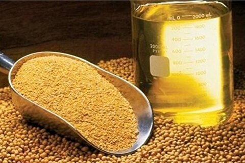 واردات روغن خام ۵۷ درصد افزایش یافت