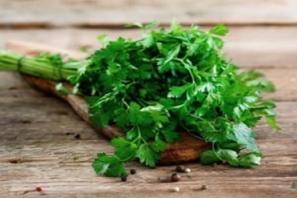 فواید بی شمار جوشانده این سبزی که از آن بی خبرید