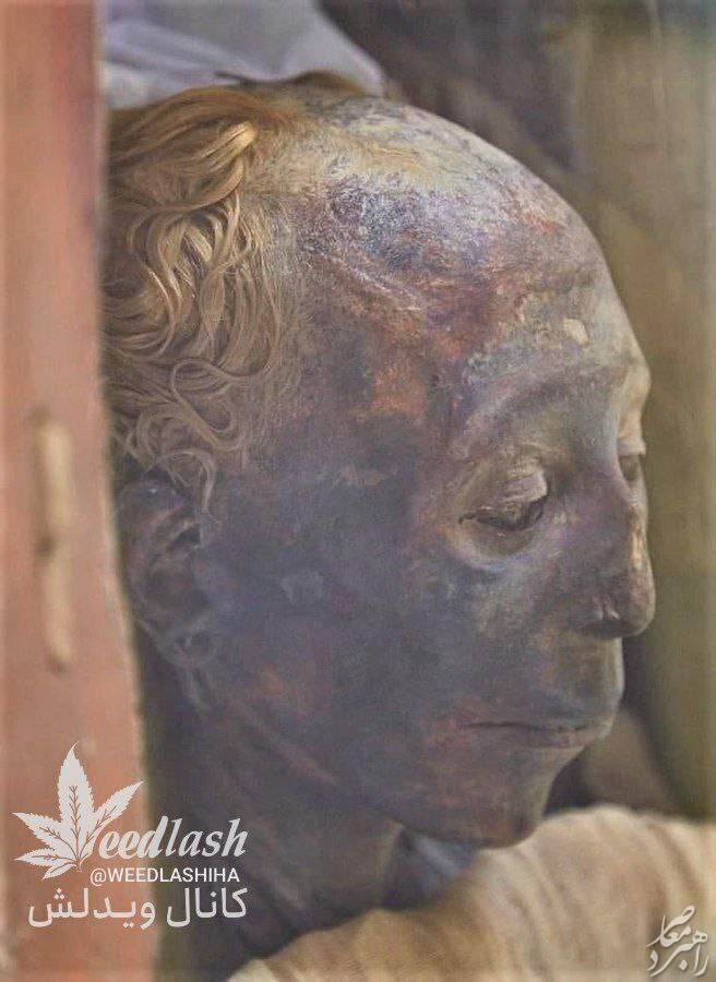 چهره جالب مومیایی مادربزرگ ‎آخناتون مصری با ۳۴۰۰ سال قدمت! + عکس