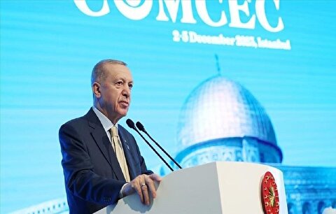 اردوغان در گفتگو با امیر قطر: اسرائیل را باید مهار کرد