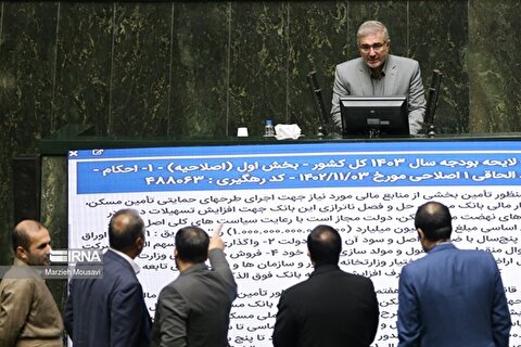 میرتاج الدینی: تغییرات جداول بودجه با هماهنگی دولت است
