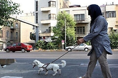 ورود سگ به بوستان‌های تهران ممنوع است