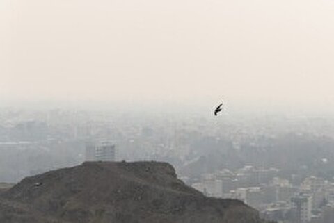 مدارس ابتدایی البرز غیرحضوری شد