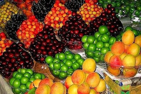 کاهش ۲۰ درصدی قیمت میوه‌های نوبرانه