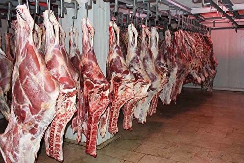 جریمه ۱۹۷ میلیاردی برای متخلف فروش گوشت‌های غیرمجاز