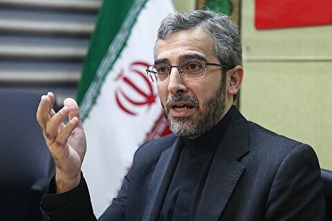 باقری: ایران و ترکیه همکاری جدی در مبارزه با تروریسم دارند