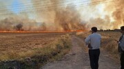 آتش سوزی وسیع در مراتع و مزارع گیلانغرب + فیلم