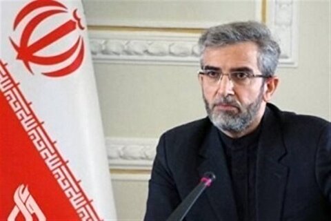 باقری:کانادا با عدم اخذ رای از ایرانیان حقوق آنها را نقض کرد