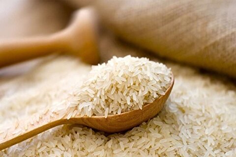 کاهش ۶ درصدی قیمت برنج ایرانی