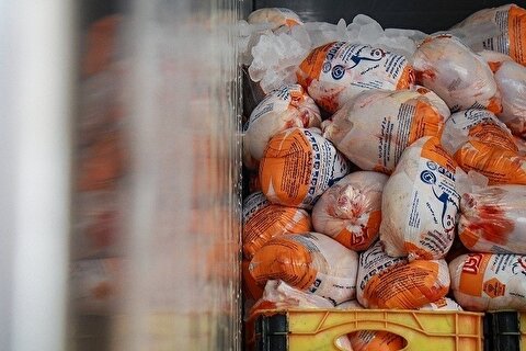 مازاد ماهانه مرغ به ۱۲ میلیون قطعه رسید