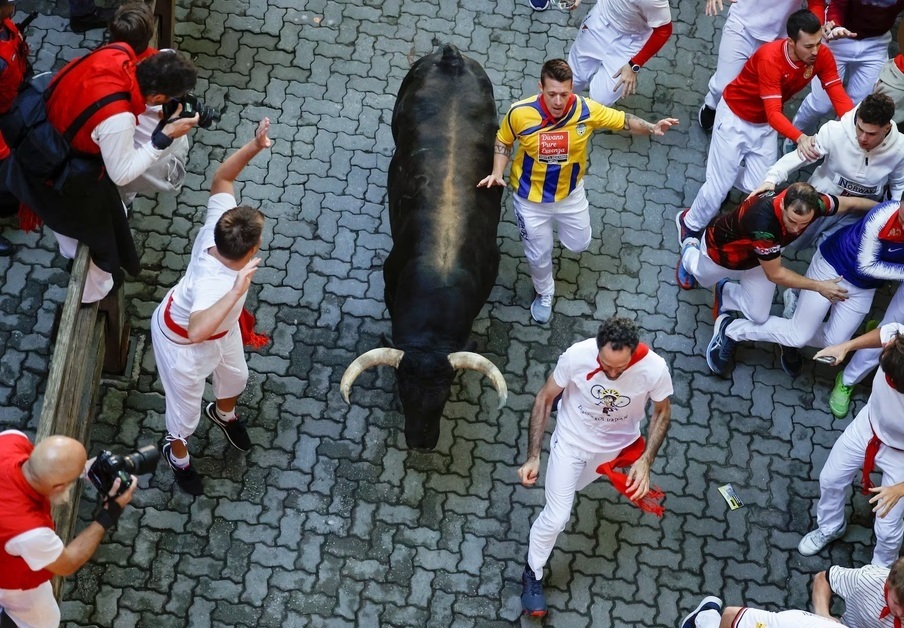 تصاویر | هیجان دویدن با گاو‌های نر در جشنواره سن فرمین