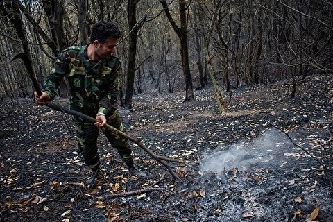 افزایش 256 آتش‌سوزی‌های منابع طبیعی در 1403