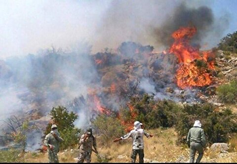 آتش سوزی جنگل‌های لرستان | نیرو‌های اطلاعاتی و انتظامی به دنبال عاملان آتش سوزی رویشگاه پلدختر