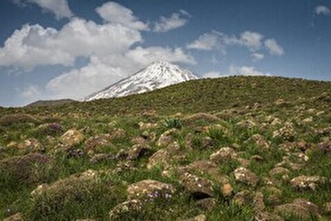 مدیر امور عشایر استان تهران: از ورود گردشگران به دشت لار جلوگیری می‌شود