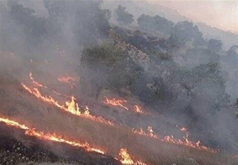 آتش سوزی گسترده در جنگل‌های پلدختر | درخواست اعزام ۲ بالگرد