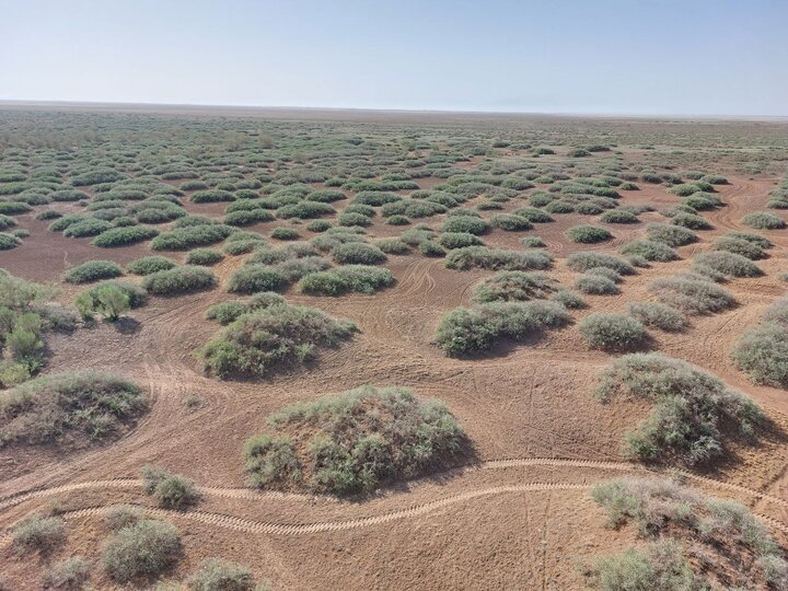 مفقود شدن ۱۵ گردشگر در کویر طبس