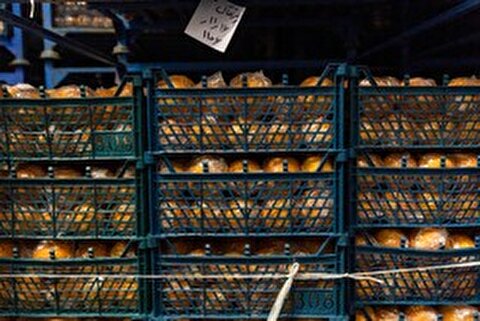 میوه شب عید دو برابر سال قبل ذخیره شد