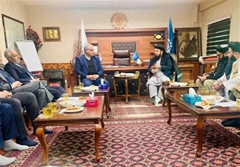 حسینی: امکان صدور سالانه ۲۰۰ هزار ویزای کاری برای افغان‌ها فراهم است